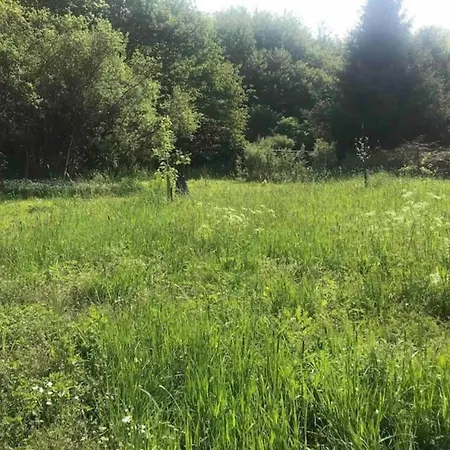 Lejlighed Cozy In With Terrace Garden Bbq