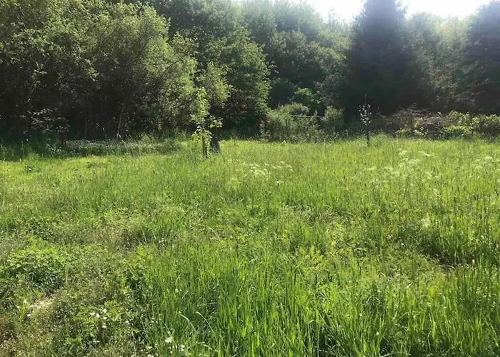 Apartment Cozy In With Terrace Garden Bbq